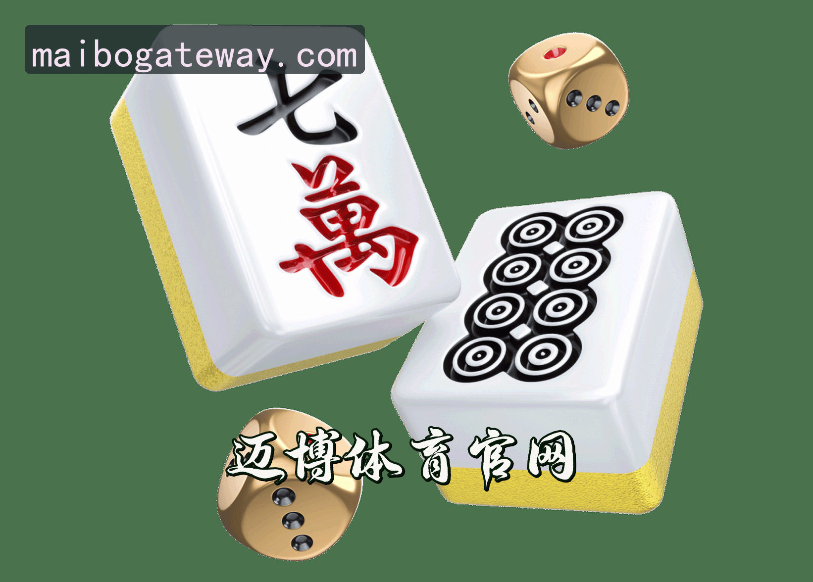 关于我们简介